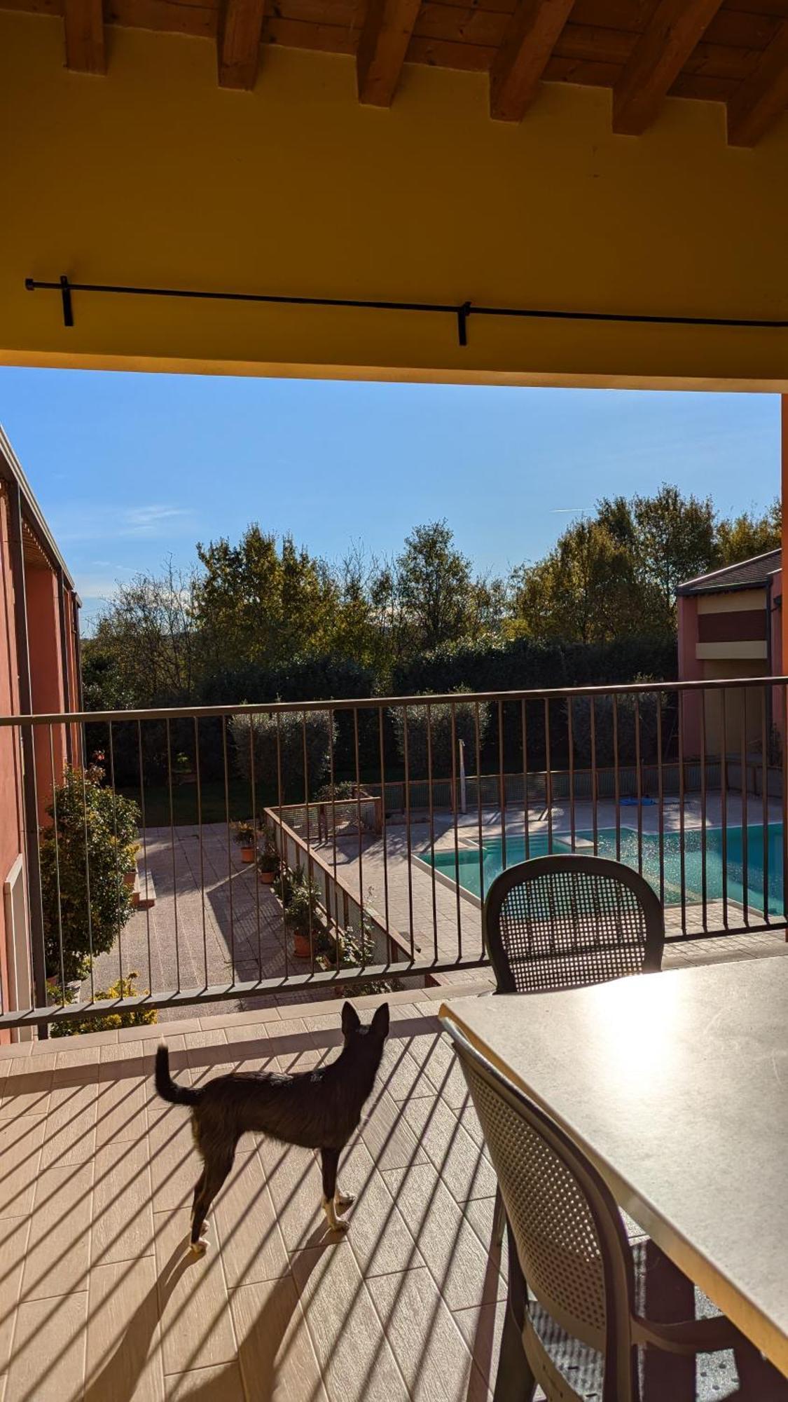 Agriturismo Ai Tre Fienili Ponti sul Mincio Exteriér fotografie